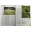 Livre La chasse du chevreuil de Gilbert Valet