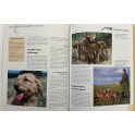 Livre La chasse du chevreuil de Gilbert Valet