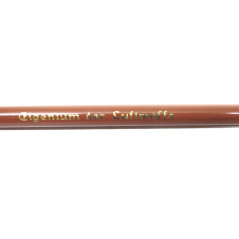 Crayon Allemand Polychromos  ref 60 