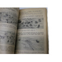 Livre Unterrichtsbuch f:ur Soldaten de 1938 