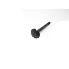 Vis renfort de crosse  fusil Lebel ref  70 