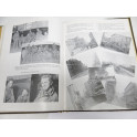 Rare livre edtion originale The 90 TH Infantry division