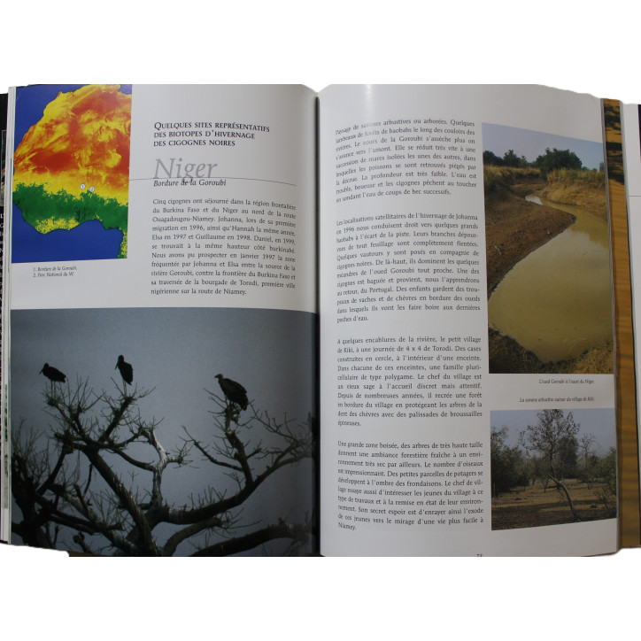 Livre La migration des cigognes noires: Du chêne au baobab de G. Jadoul Livre La migration des cigognes noires: Du chêne au baobab de G. Jadoul