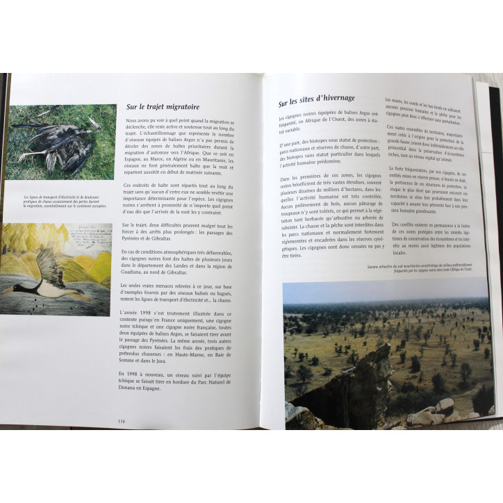 Livre La migration des cigognes noires: Du chêne au baobab de G. Jadoul Livre La migration des cigognes noires: Du chêne au baobab de G. Jadoul