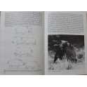 Livre "Grand Gibier" Le Sanglier par Francis Marion