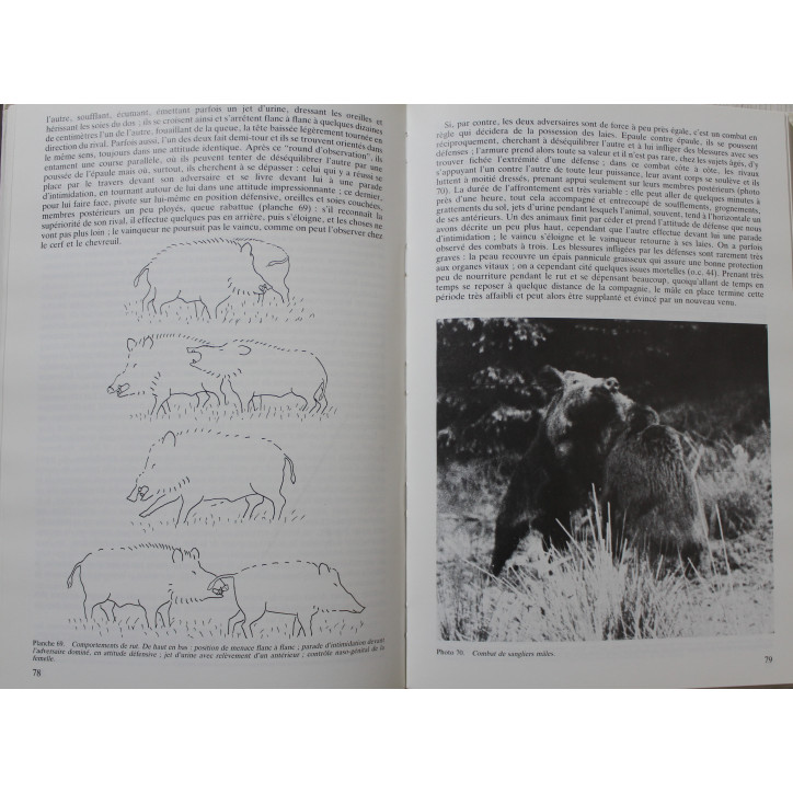 Livre "Grand Gibier" Le Sanglier par Francis Marion