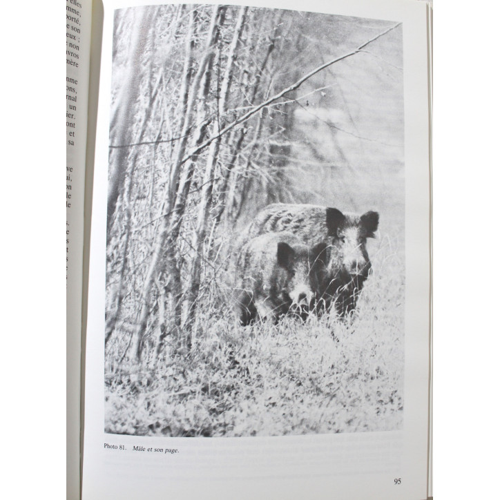Livre "Grand Gibier" Le Sanglier par Francis Marion