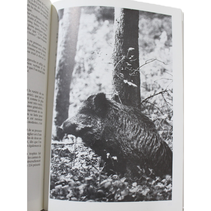 Livre "Grand Gibier" Le Sanglier par Francis Marion
