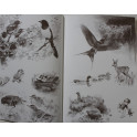 Album Les quatre saisons ou le calendrier d'un artiste de R. McPhail