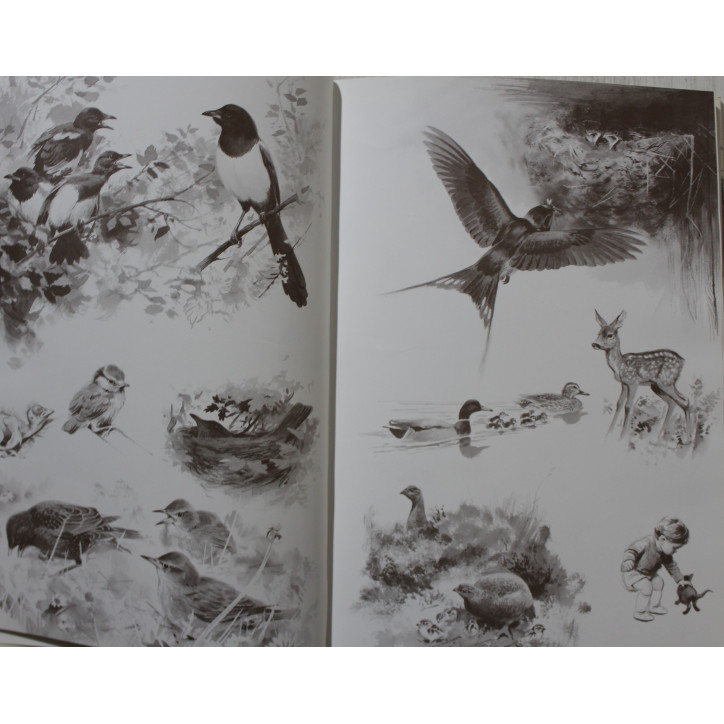 Album Les quatre saisons ou le calendrier d'un artiste de R. McPhail