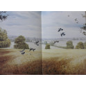 Album Les quatre saisons ou le calendrier d'un artiste de R. McPhail