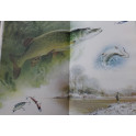 Album Les quatre saisons ou le calendrier d'un artiste de R. McPhail