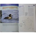 Livre Tout le gibier de France: Atlas de la biodiversité de la faune sauvage, les 90 espèces chassables