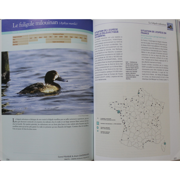 Livre Tout le gibier de France: Atlas de la biodiversité de la faune sauvage, les 90 espèces chassables