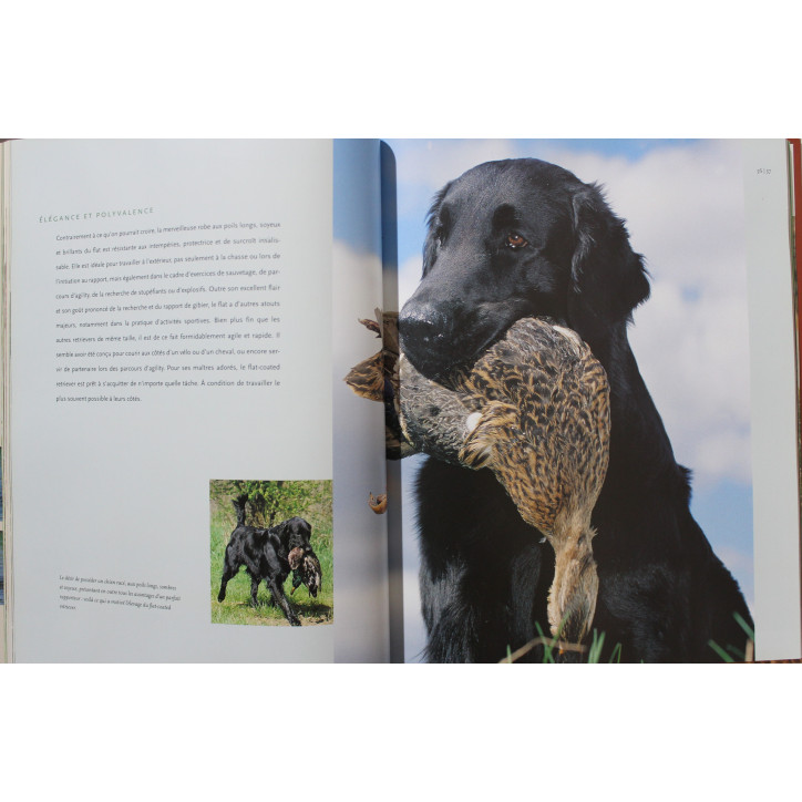 Livre Fabuleux Retrievers de Karl-Heinz Rauth-Widmann