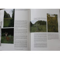 Livre Le dernier Cerf de Gérard JADOUL, Jean-Pierre VERHOEVEN