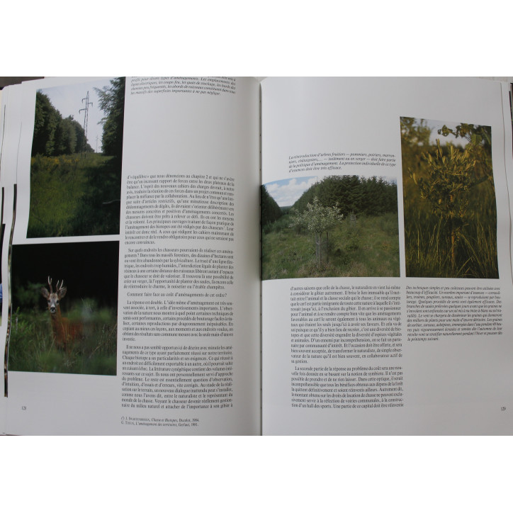 Livre Le dernier Cerf de Gérard JADOUL, Jean-Pierre VERHOEVEN