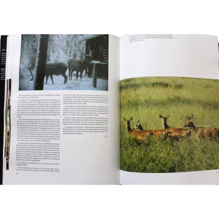 Livre Le dernier Cerf de Gérard JADOUL, Jean-Pierre VERHOEVEN