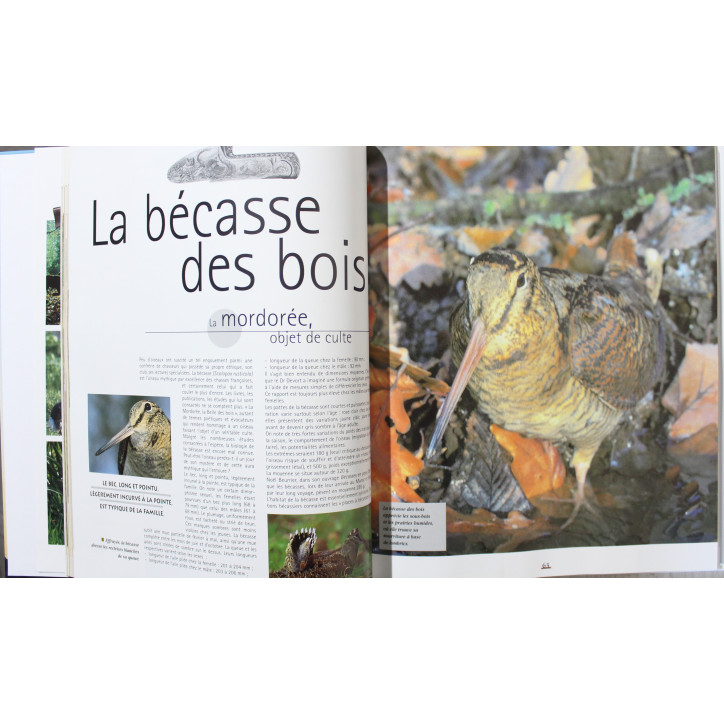 Livre Découverte & Passion de la chasse