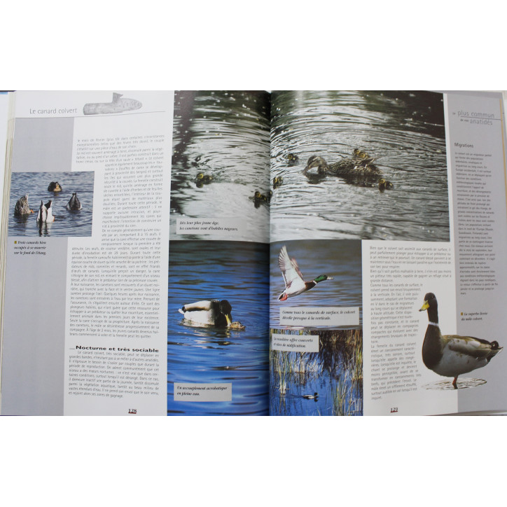 Livre Découverte & Passion de la chasse