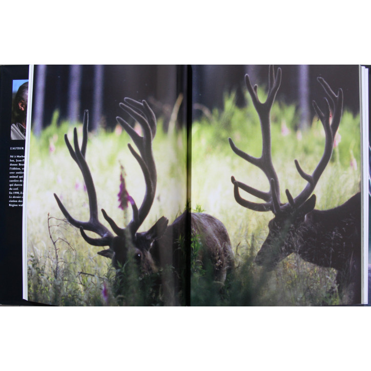 Livre Le Clan des cerfs de Jean-Paul Verhoeven