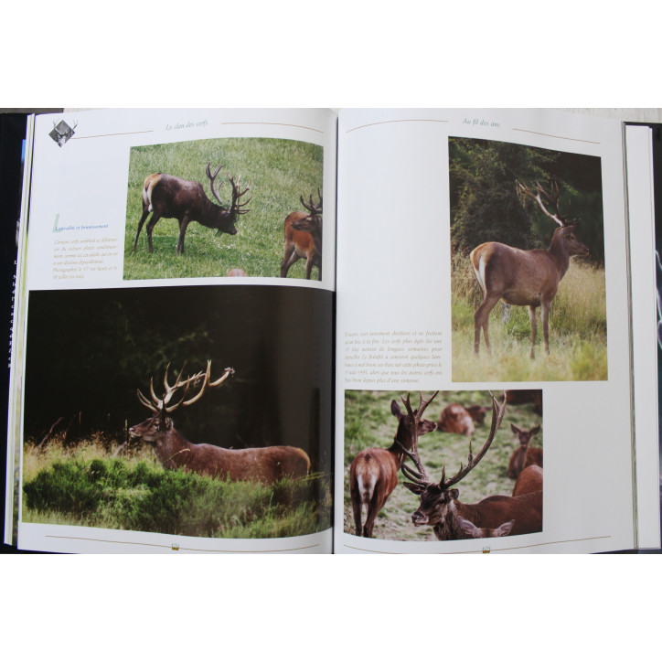 Livre Le Clan des cerfs de Jean-Paul Verhoeven
