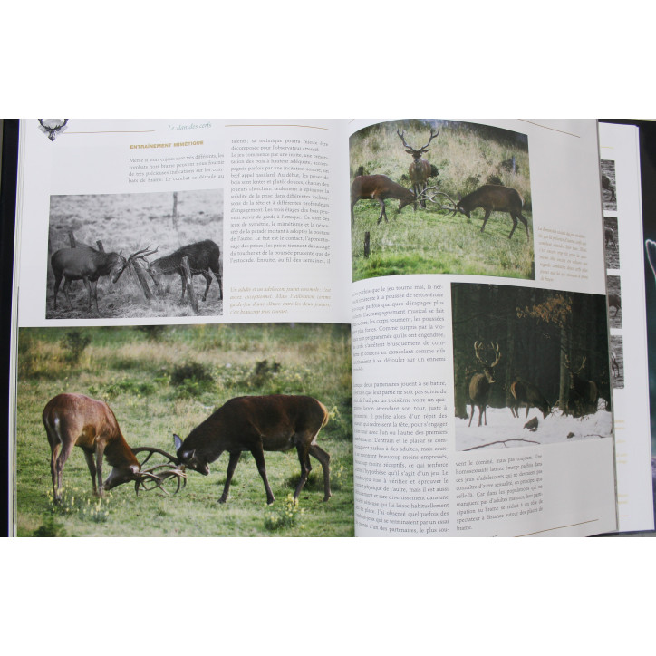 Livre Le Clan des cerfs de Jean-Paul Verhoeven