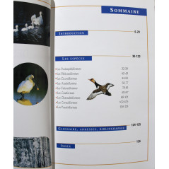 Livre Oiseaux des etangs et rivieres de Pierre Darmangeat