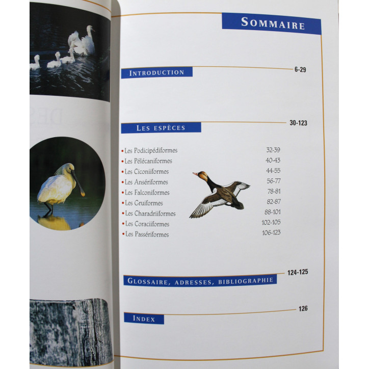 Livre Oiseaux des étangs et rivières de Pierre Darmangeat