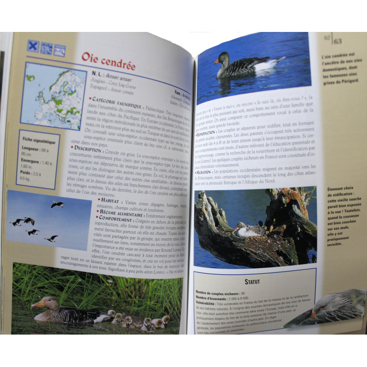 Livre Oiseaux des étangs et rivières de Pierre Darmangeat