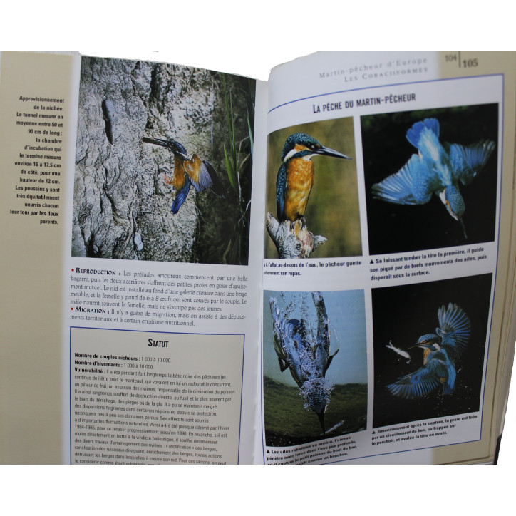 Livre Oiseaux des étangs et rivières de Pierre Darmangeat