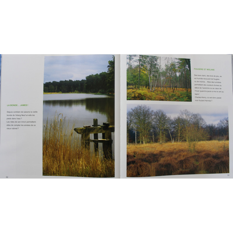 Album Chambord :Patrimoines exceptionnels de Jean-Paul Grossin, Francis Forget