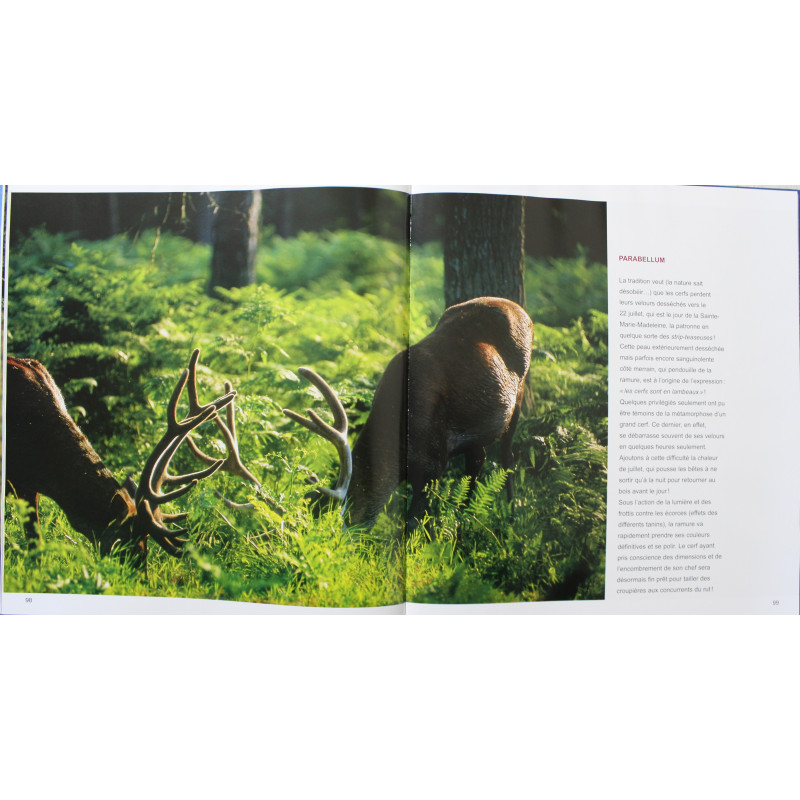 Album Chambord :Patrimoines exceptionnels de Jean-Paul Grossin, Francis Forget