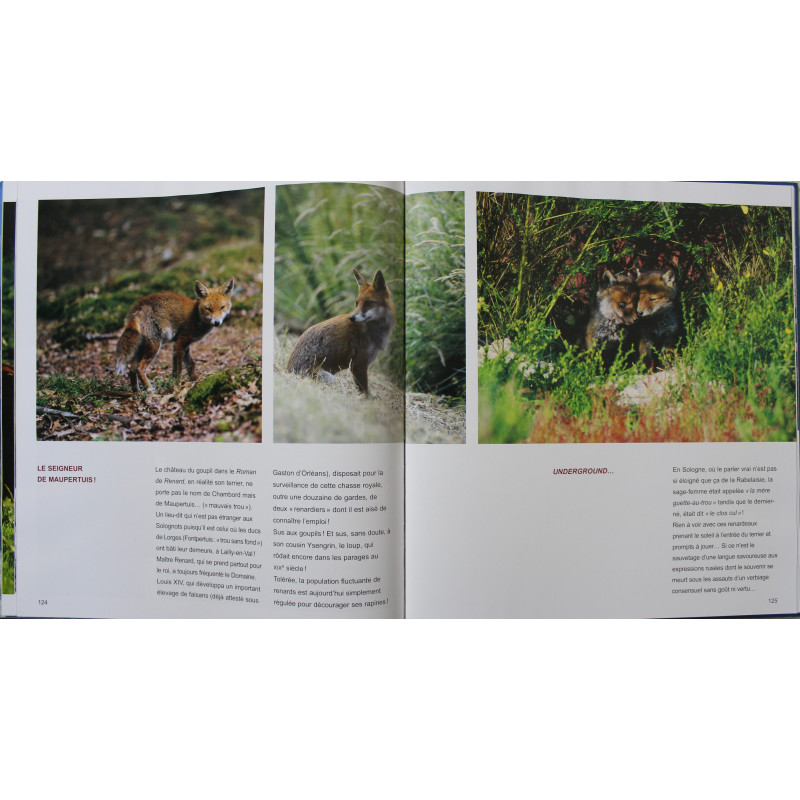 Album Chambord :Patrimoines exceptionnels de Jean-Paul Grossin, Francis Forget