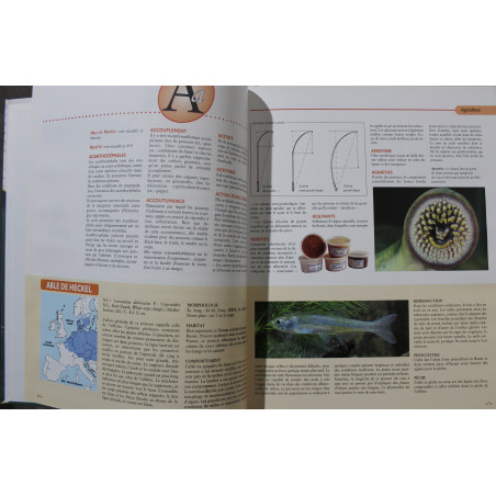 Grand dictionnaire encyclopédique de la pêche