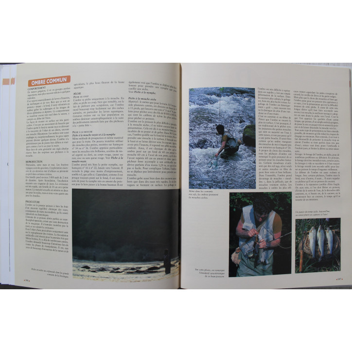 Grand dictionnaire encyclopédique de la pêche Grand dictionnaire encyclopédique de la pêche