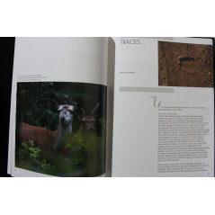 Album Histoire de cerfs ed. du Perron