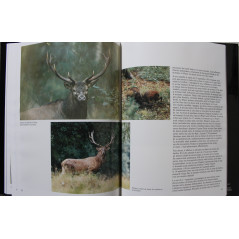 Album Histoire de cerfs ed. du Perron