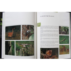 Album La cigogne noire de Gérard Jadoul