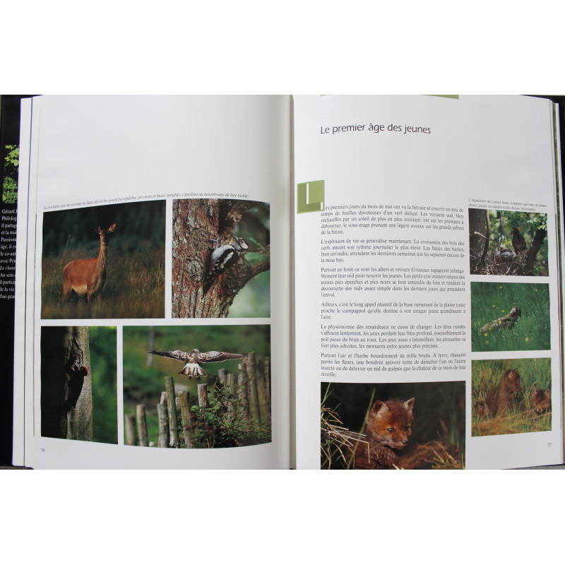 Album La cigogne noire de Gérard Jadoul