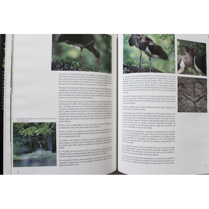 Album La cigogne noire de Gérard Jadoul