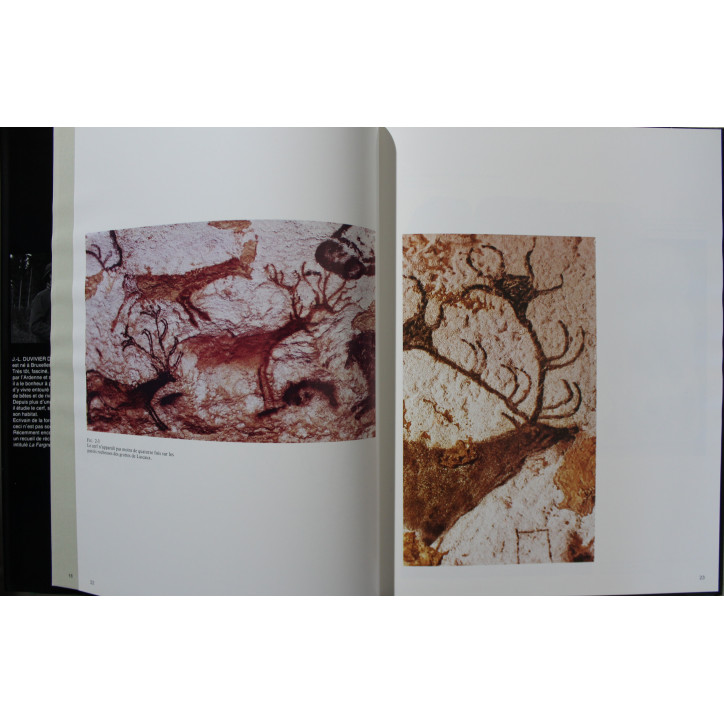 Livre Le Brâme Images et rituel de Jean-Luc Duvivier de Fortemps