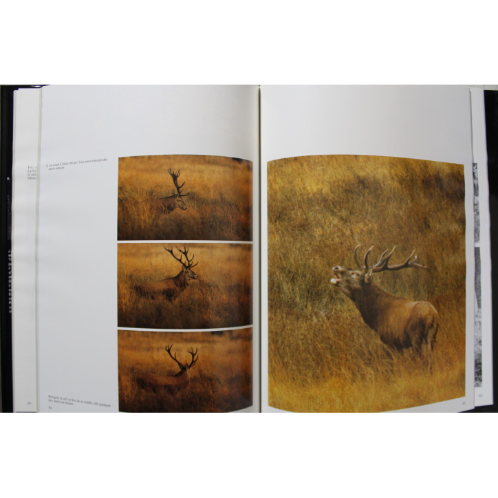 Livre Le Brâme Images et rituel de Jean-Luc Duvivier de Fortemps
