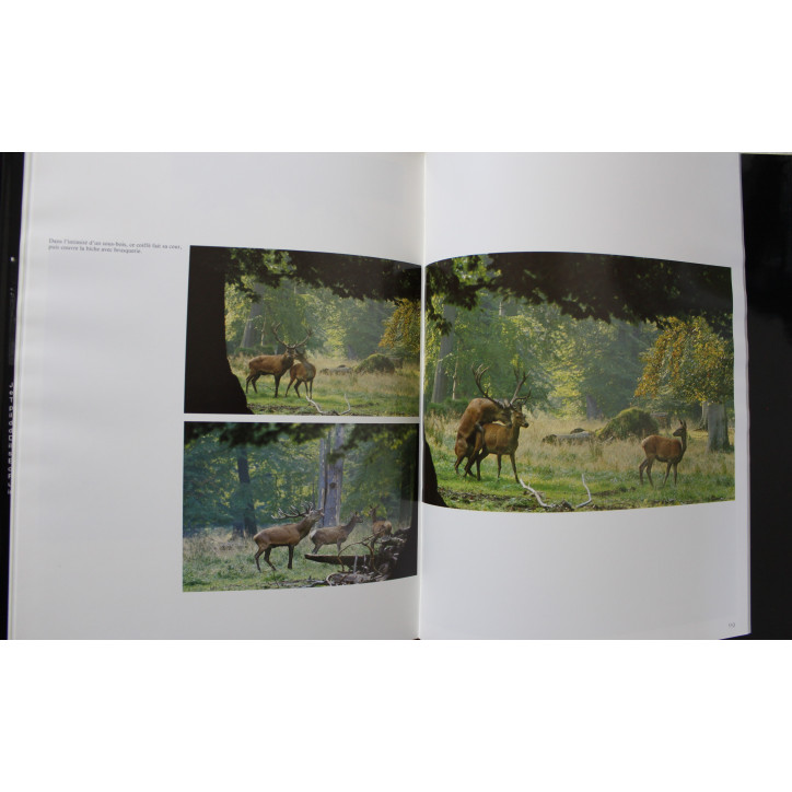 Livre Le Brâme Images et rituel de Jean-Luc Duvivier de Fortemps
