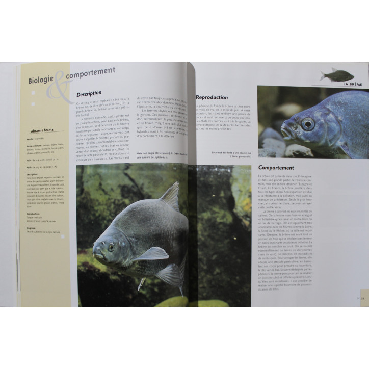 Livre La pêche au coup de Patrick Guillotte