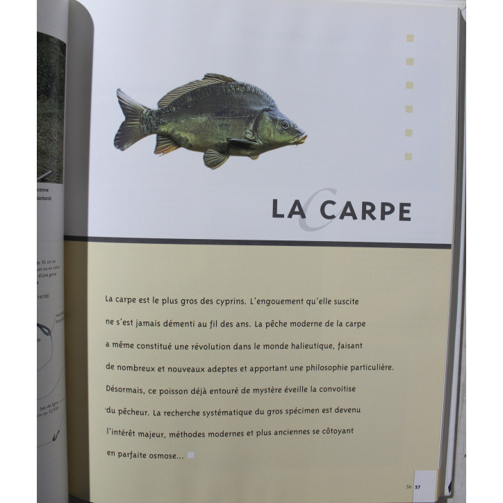 Livre La pêche au coup de Patrick Guillotte