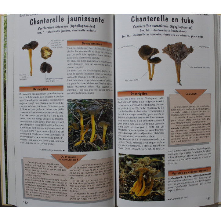 Livre Cueillir les champignons de Jean-Marie Polèse