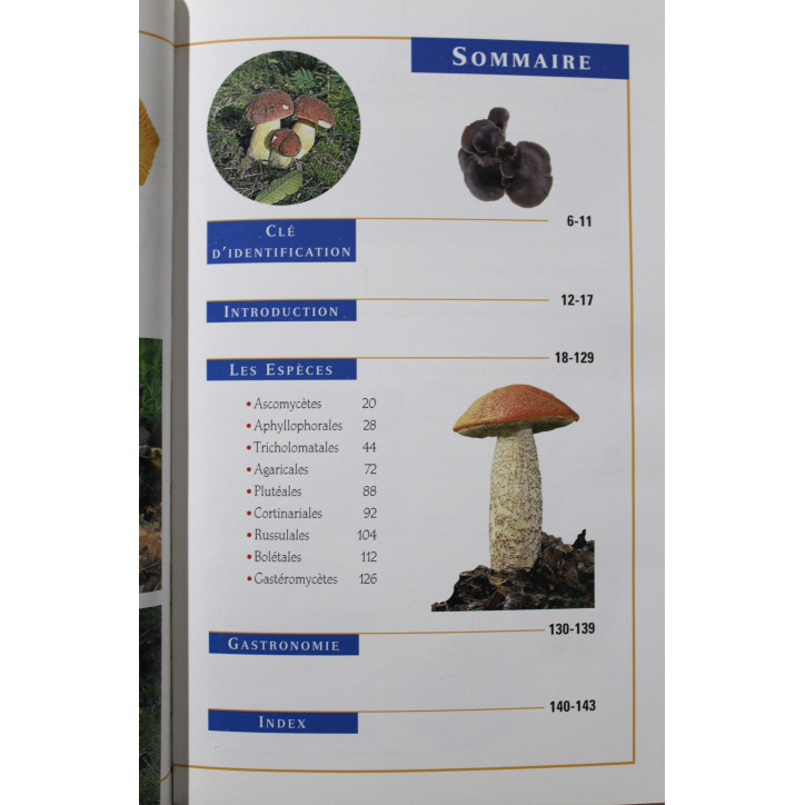 Livre Champignons de France Collection Découvert . Nature