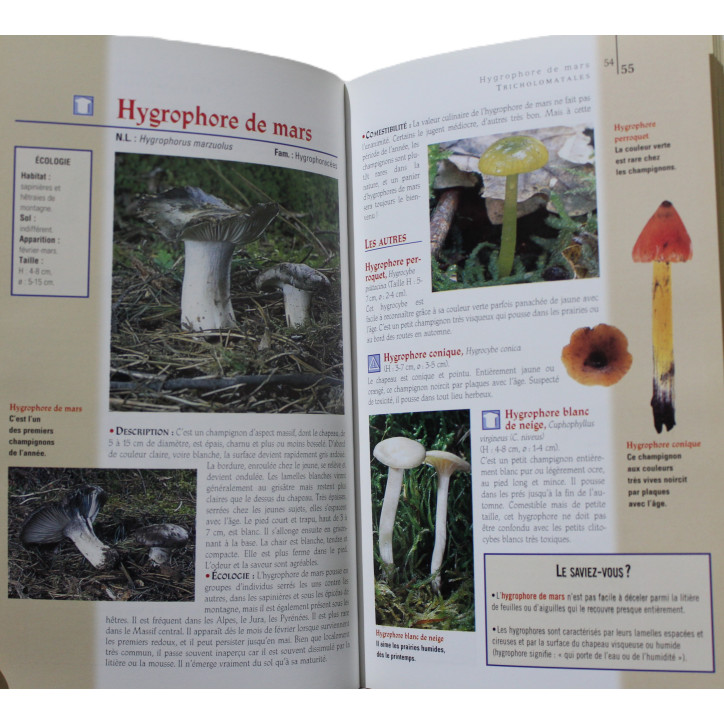 Livre Champignons de France Collection Découvert . Nature