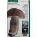 Livre Champignons de France Collection Découvert . Nature